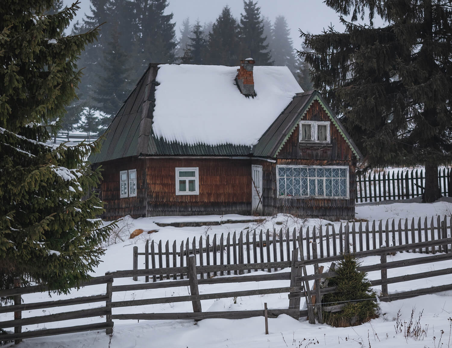 Keep your gas boiler scrub whenever possible